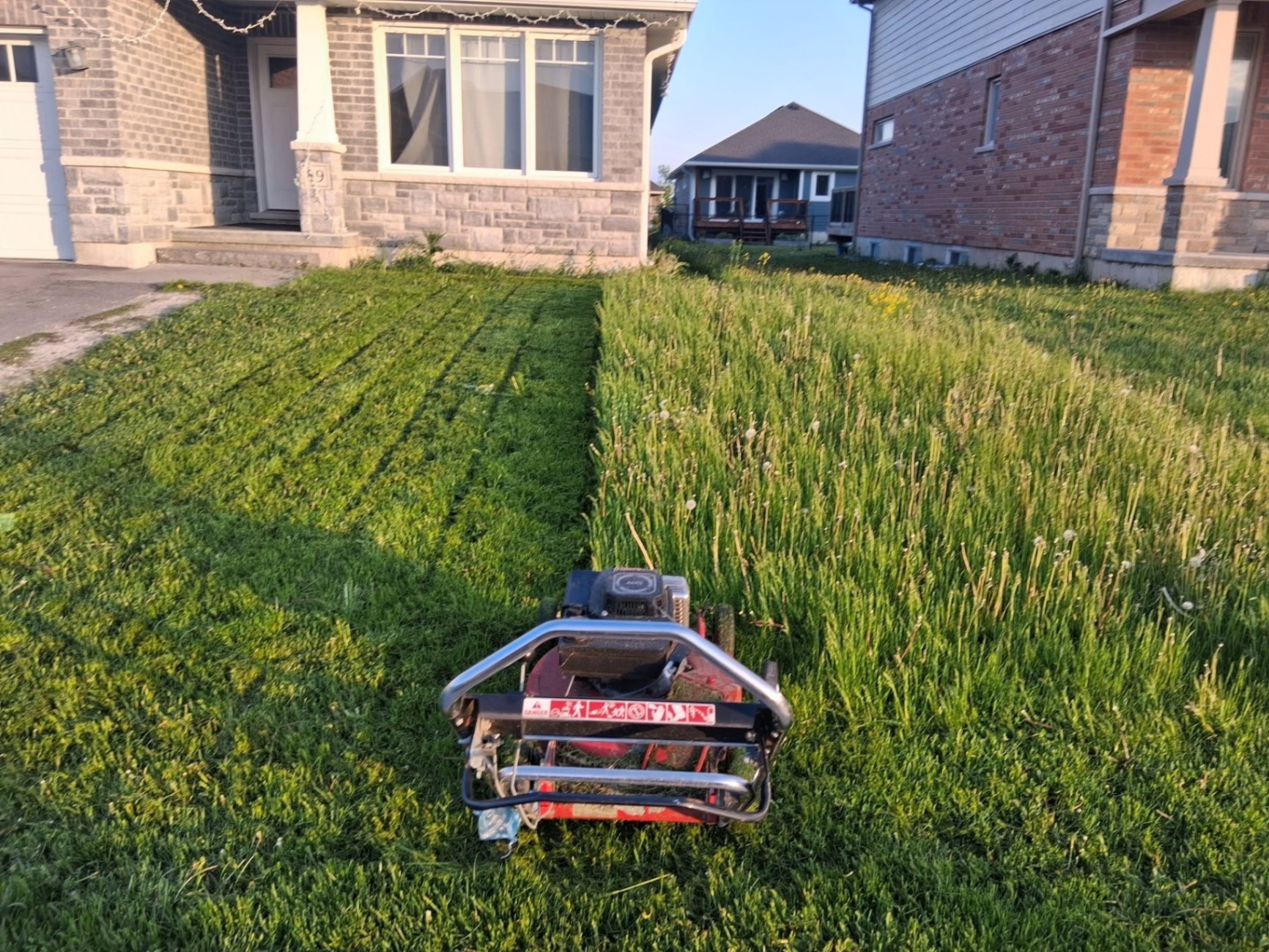 Lawn Care & Maintenance