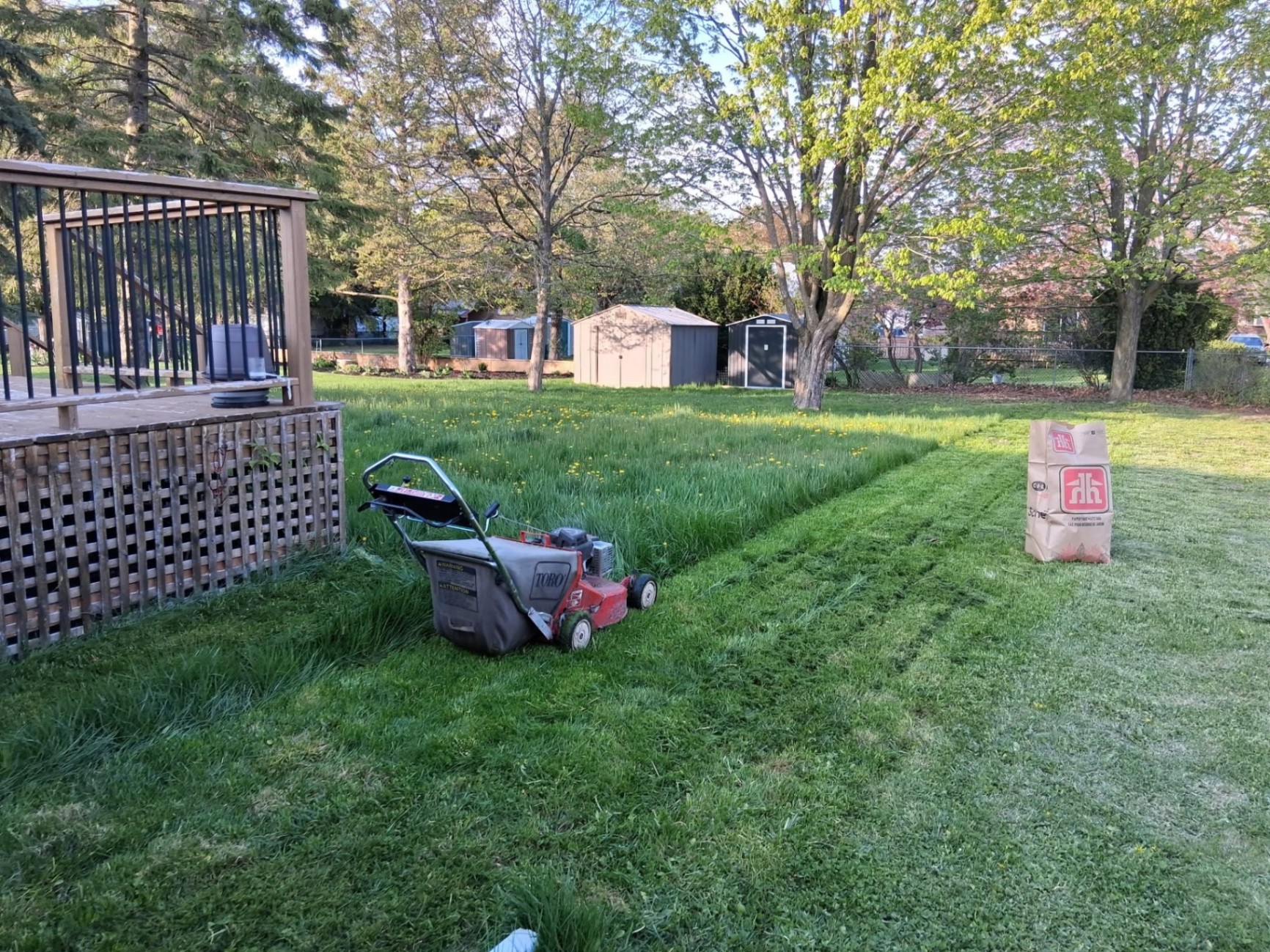 Lawn mower cutting a fresh strip through tall grass beside a deck